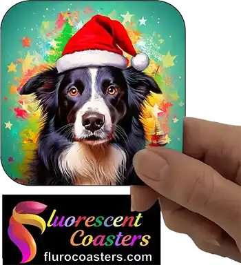 Border Collie Dog Wearing Christmas Hat 2