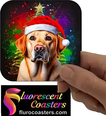  Labrador Dog Wearing Christmas Hat 1