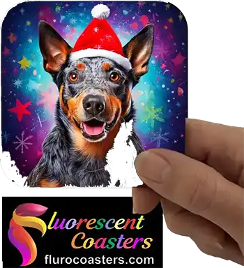Blue Heeler Dog Wearing Christmas Hat 2