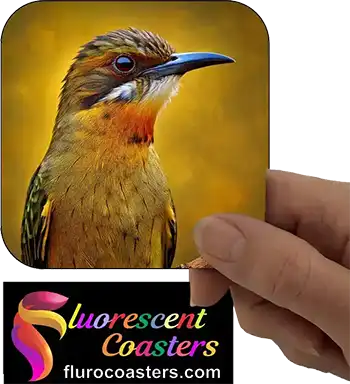 Meliphagidae Honey Eater Bird 1