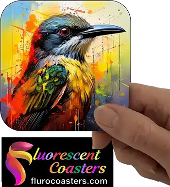 Meliphagidae Honey Eater Bird 2