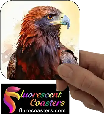 Wedge Tailed Eagle 1