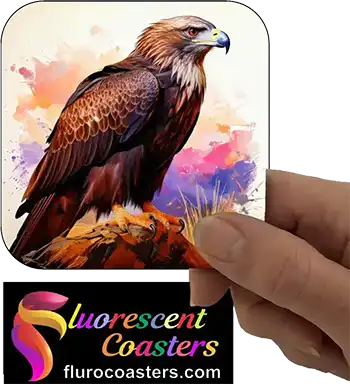  Wedge Tailed Eagle 2