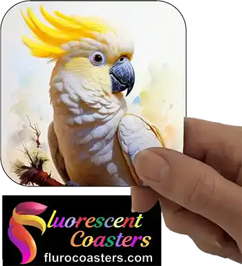  Cockatoo Yellow Sulphur Crested 4