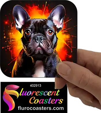 French Bulldog Black 1