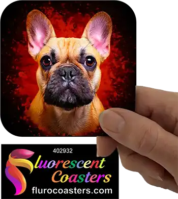 Fawn French Bulldog 5