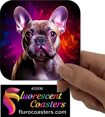 Lilac French Bulldog 1