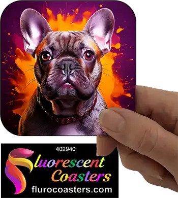 Lilac French Bulldog 5