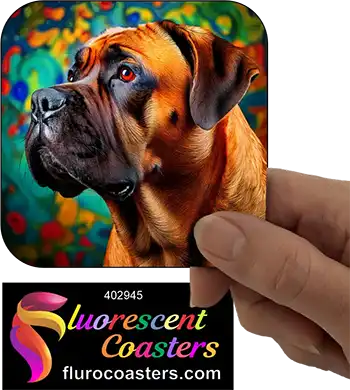 Brindle Bullmastiff 2