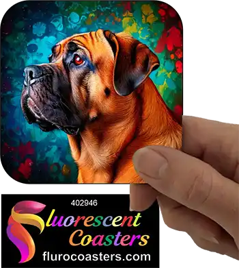 Brindle Bullmastiff 3