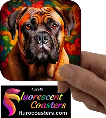 Brindle Bullmastiff 5