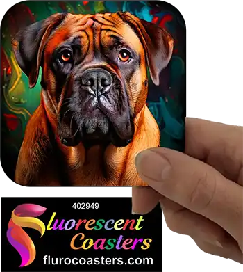 Brindle Bullmastiff 6