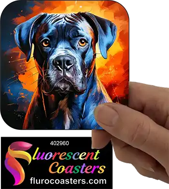 Blue Boxer Dog 2