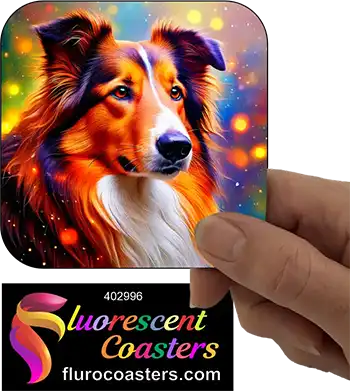 Collie Dog 2