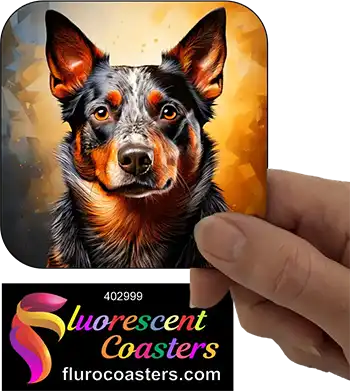 Blue Healer Cattle Dog 1