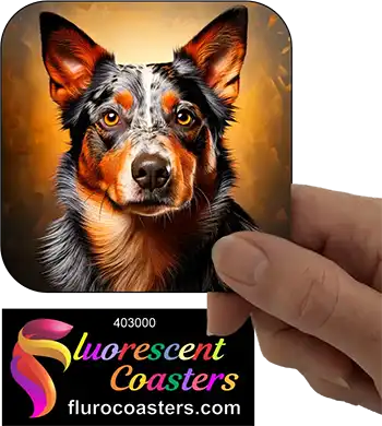 Blue Healer Cattle Dog 2