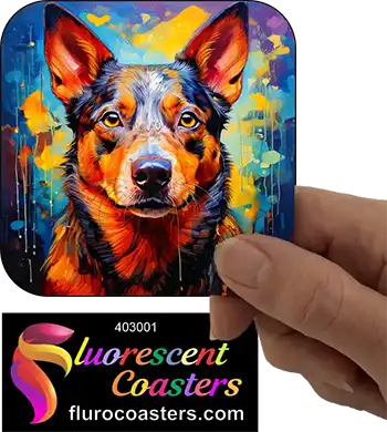 Australian Cattle Dog 1