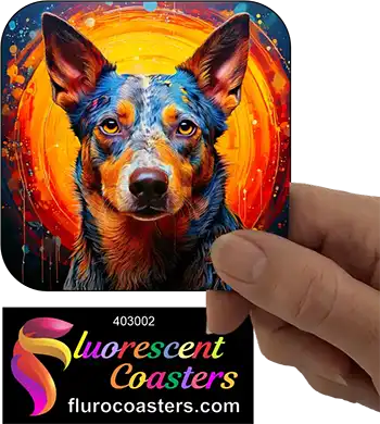 Australian Cattle Dog 2