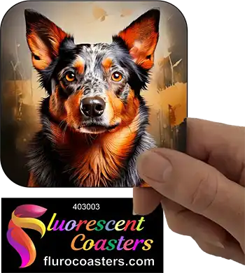 Australian Cattle Dog 3