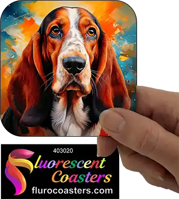 Basset Hound Dog 1