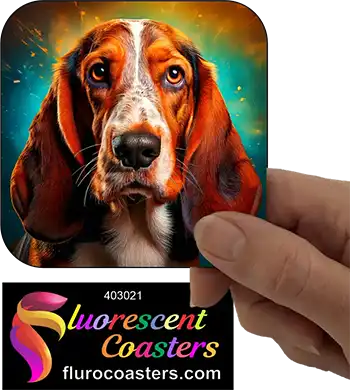 Basset Hound Dog 2