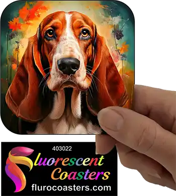 Basset Hound Dog 3