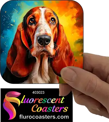 Basset Hound Dog 4