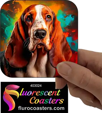 Basset Hound Dog 5