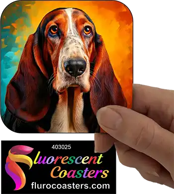 Basset Hound Dog 6