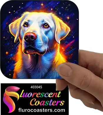 White Labrador Dog 5