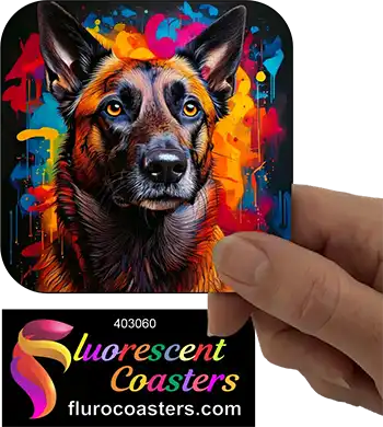 Belgian Malinois Dog 1