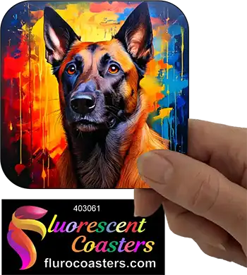 Belgian Malinois Dog 2