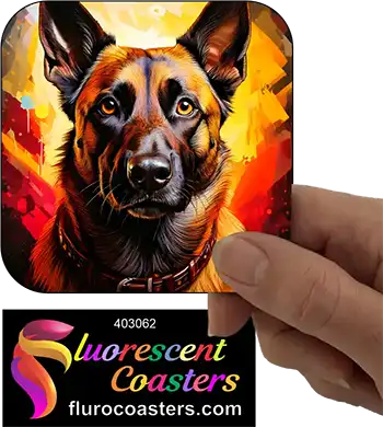 Belgian Malinois Dog 3