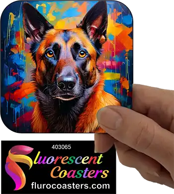 Belgian Malinois Dog 6