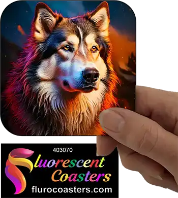 Alaskan Malamute Dog 5