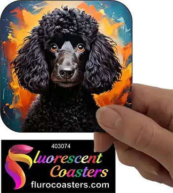 Black Poodle Dog 2