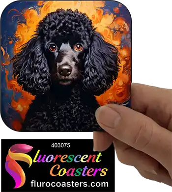 Black Poodle Dog 3