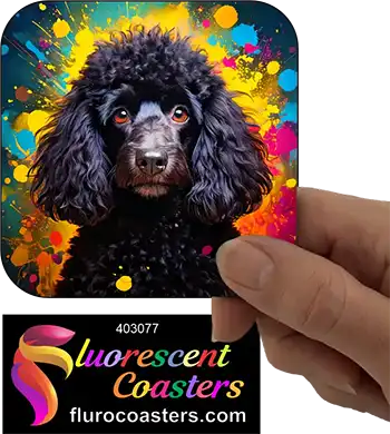 Black Poodle Dog 5