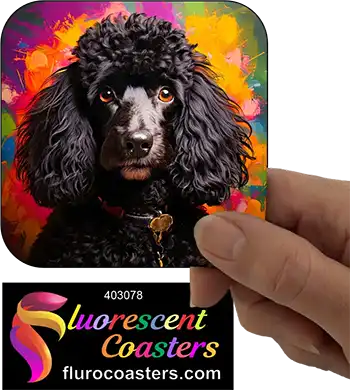 Black Poodle Dog 6