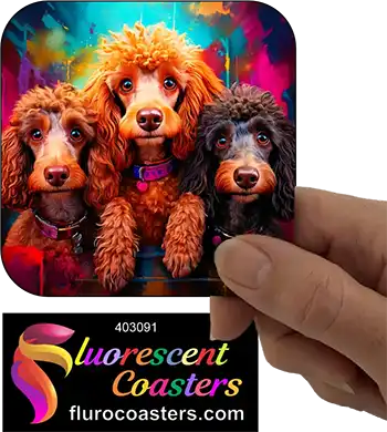 Brown Poodle Dogs Group