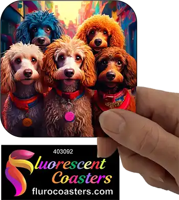 Assorted Poodle Dogs Group