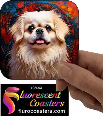 White Pekingese Dog 1