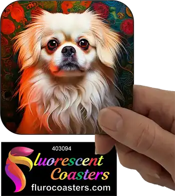 White Pekingese Dog 2