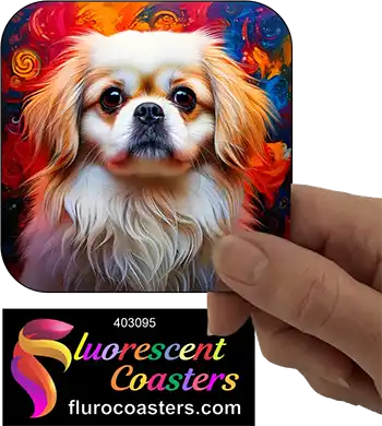 White Pekingese Dog 3