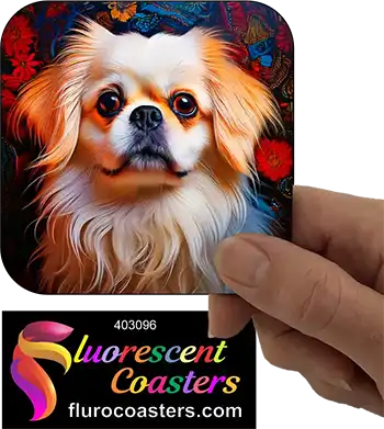 White Pekingese Dog 4