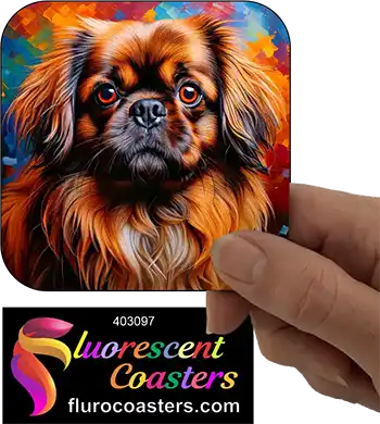 Pekingese Dog 1