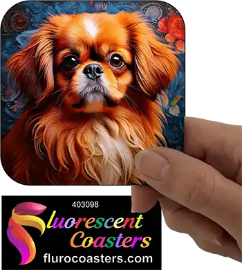 Pekingese Dog 2