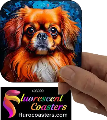 Pekingese Dog 3