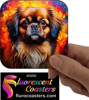 Pekingese Dog 4