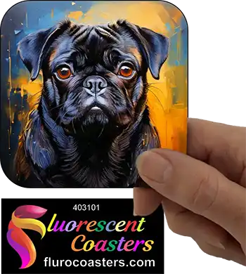 Black Pug Dog 1